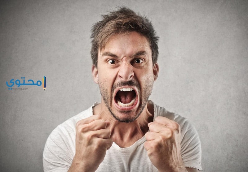 الشجار والخلاف فى المنام