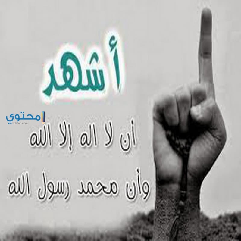 نطق الشهادتين وتلقين الميت الشهادة