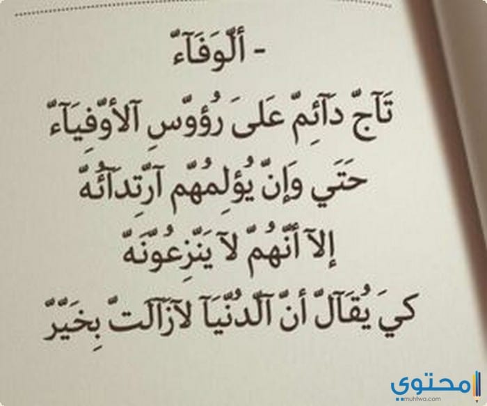 عبارات عن الوفاء