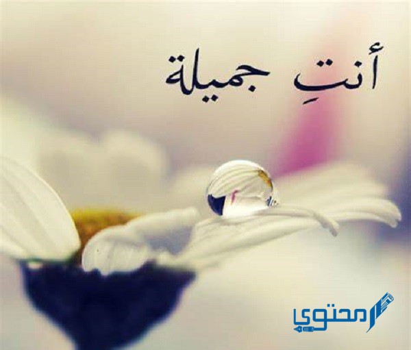 إذا أحد قال لي أنتِ جميلة وش أرد