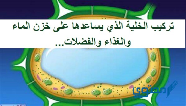 تركيب الخلية الذي يساعدها على خزن الماء والغذاء والفضلات