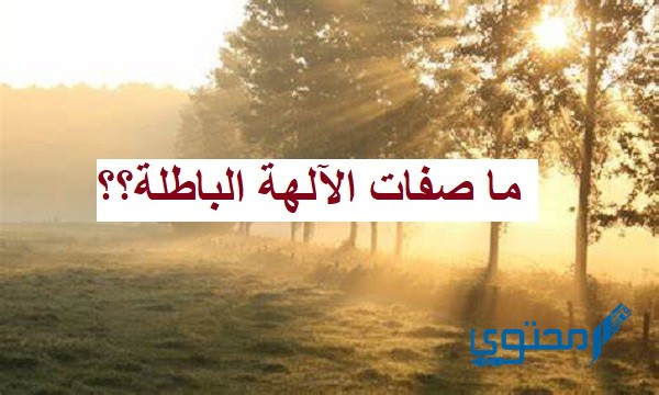 ما صفات الآلهة الباطلة