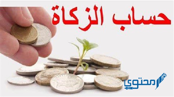 كم نسبة الزكاة من رأس المال