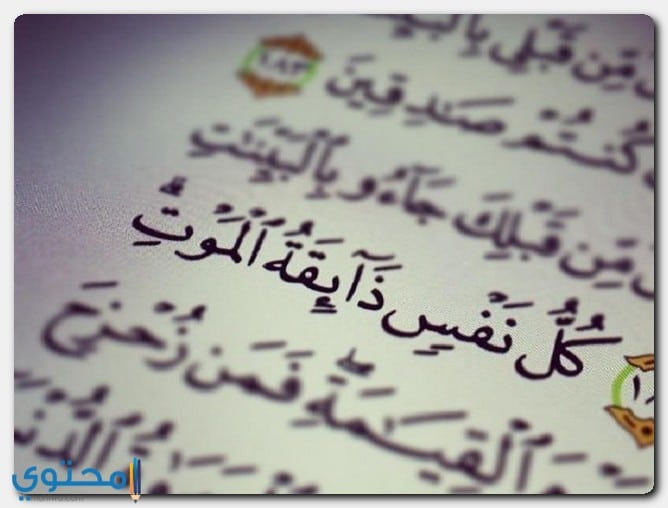 آيات قرآنية عن الموت