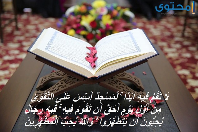 آيات قرآنية عن النظافة