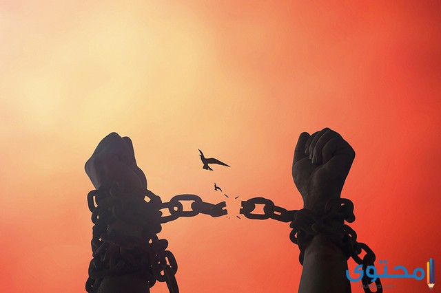 آيات قرآنية عن حقوق الإنسان