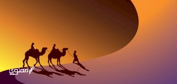 أجمل أقوال عن الهجرة