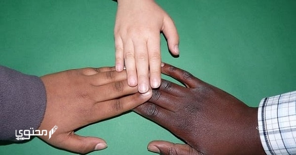 أجمل عبارات وكلمات عن التواضع