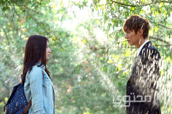 أجمل ما قيل عن لقاء الصدفة وحكم وأقوال عن الصدفة