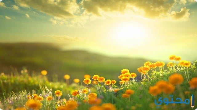 أدعية الصباح