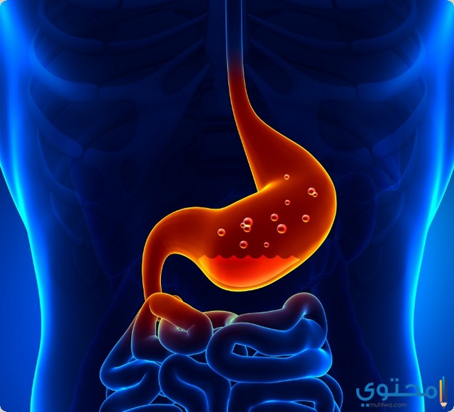 ادوية علاج عسر الهضم