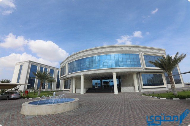 أرقام كلية عمان