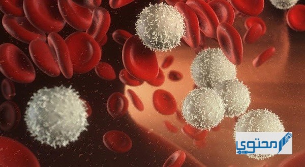أسباب ارتفاع كريات الدم البيضاء والحمراء