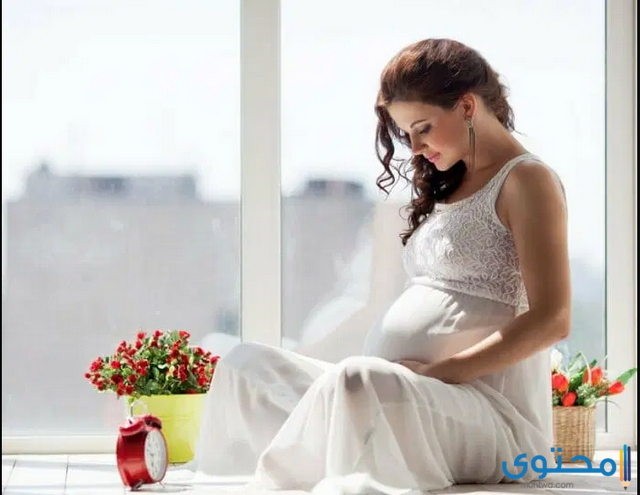 أفكار فوتوسيشن