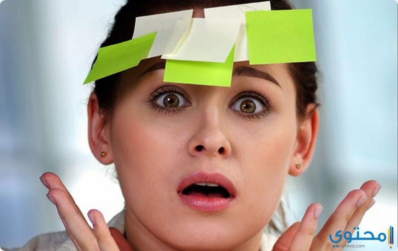 أعشاب تقوية الذاكرة والتركيز