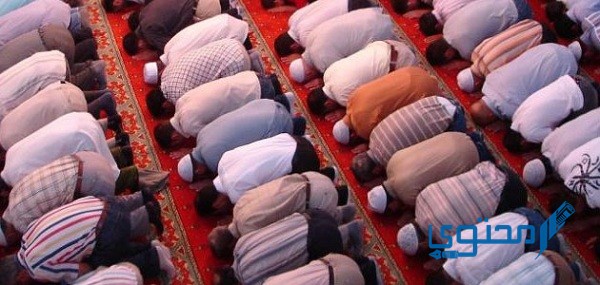 أقرب مسجد من موقعي الحالي