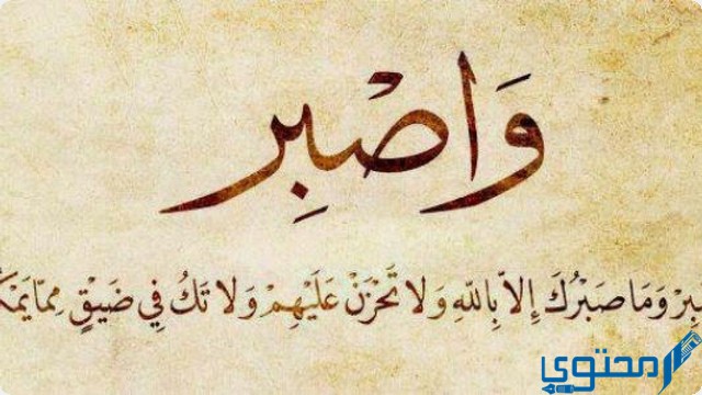 أقوى 20 كلام عن الصبر