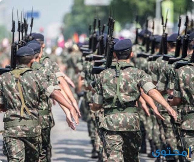 أقوى الجيوش العربية