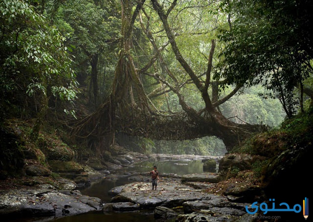 مواقع استقبالًا للأمطار