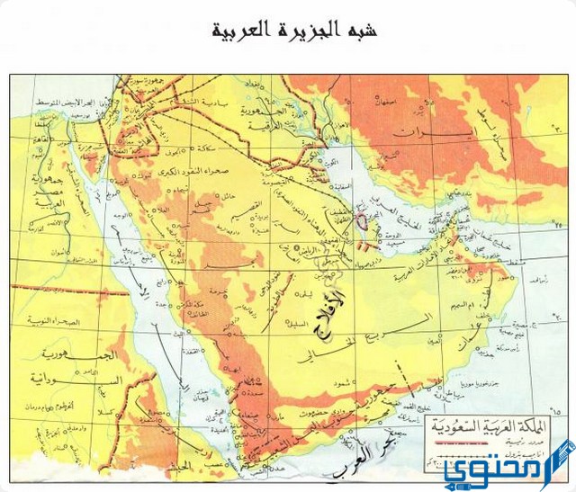 أكثر عدد قبيلة في مصر