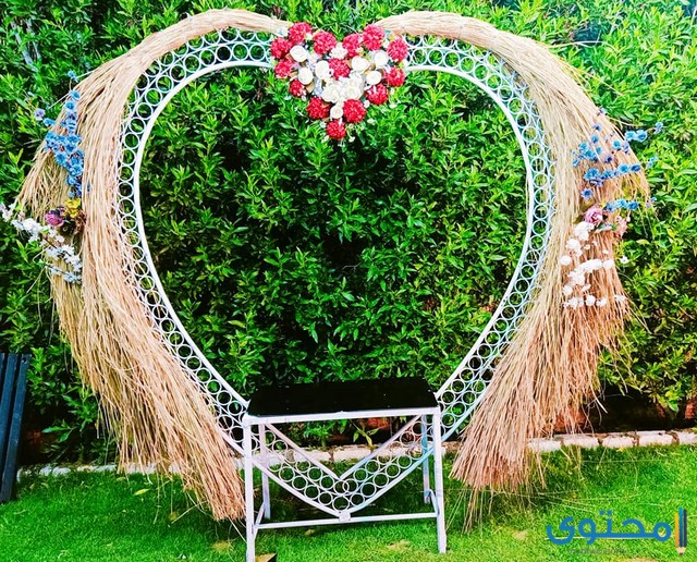 أماكن فوتوسيشن