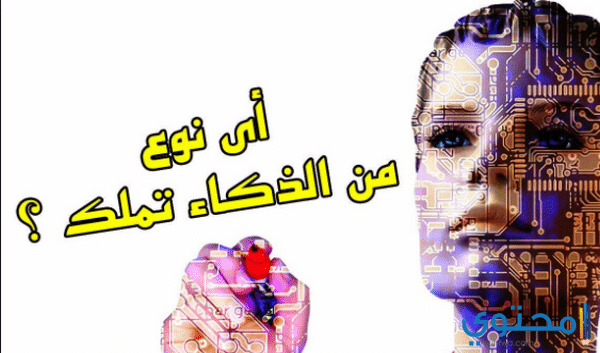 ما هي أنواع الذكاء وما الفرق بين كل نوع