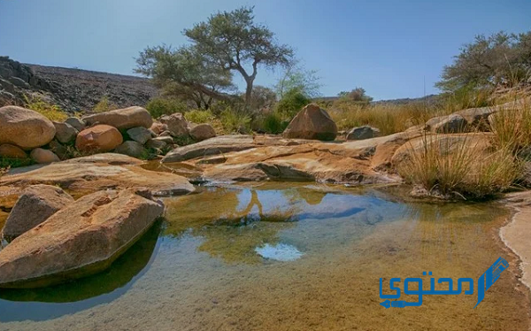 أين تقع محافظة بدر الجنوب ؟ وما هي أبرز معالمها