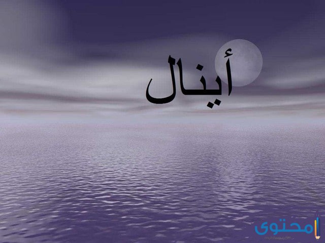 معنى اسم إينال