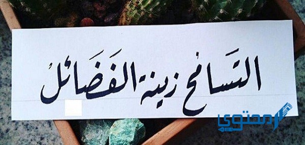 إنشاء عن العفو والتسامح