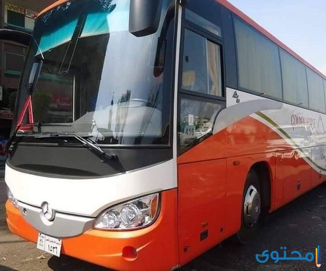 شرق الدلتا الزقازيق إلى شرم الشيخ