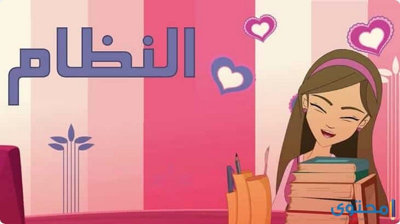 احترام النظام