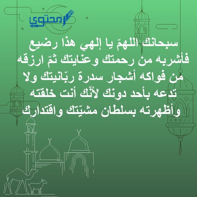 ادعية لحفظ الطفل الرضيع