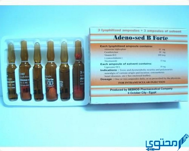 ادينو سيد بي فورت