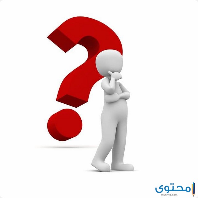 اسم حيوان بحرف الذال