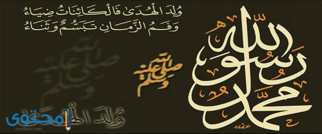 اشعار عن المولد النبوي الشريف مكتوبة (قصائد عن خاتم الأنبياء)