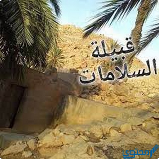 اصل قبيلة السلامات