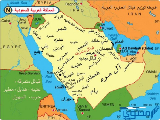 اكثر عدد قبيلة في السعودية