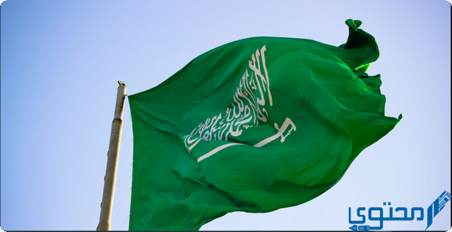 ال سعود من أي قبيلة