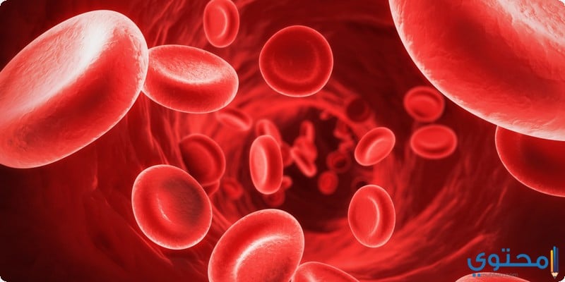أسباب الإصابة بالأنيميا