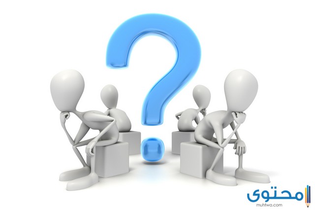 الاستعلام عن نطاق المؤسسة