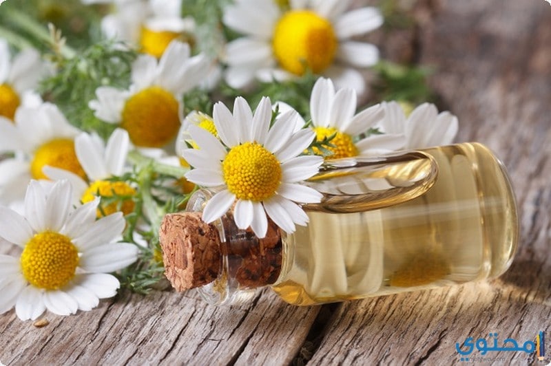 فوائد البابونج