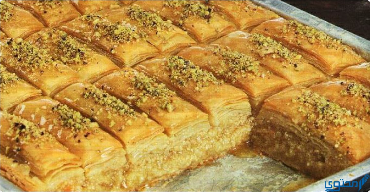 الجلاش في المنام