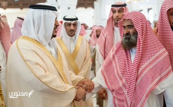 الحوشان وش يرجعون