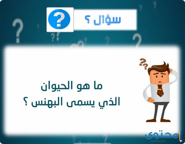 الحيوان الذي يسمى البهنس