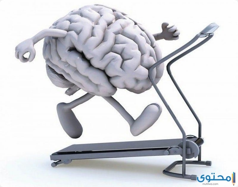 طرق تنشيط الذاكرة  14 طريقة مجربة