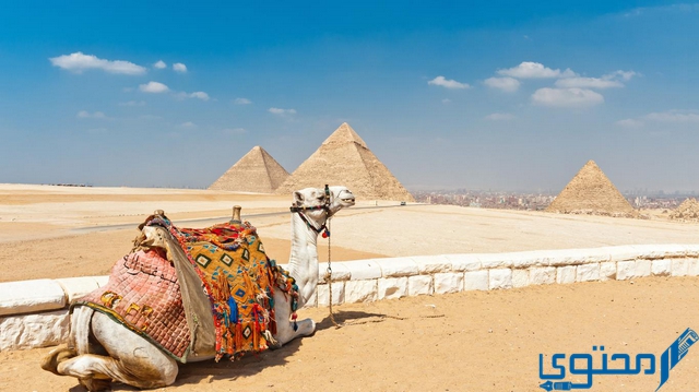 السفر من البحرين إلى مصر