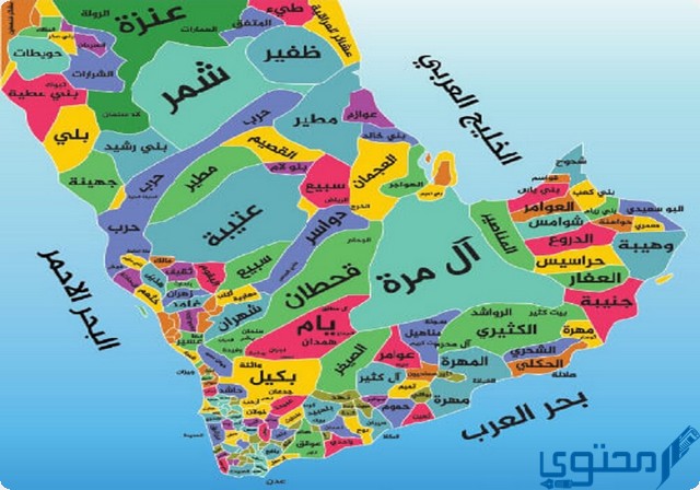 السنانى وش يرجع