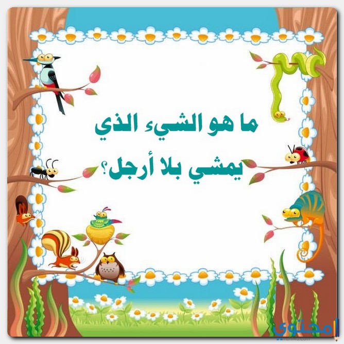 الشيء الذي يمشي بلا أرجل