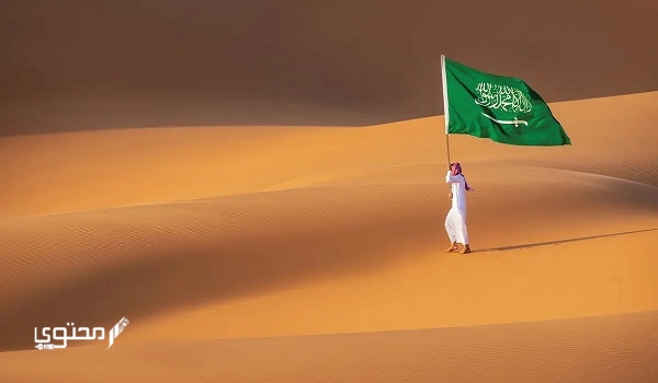 الطهيمي وش يرجع