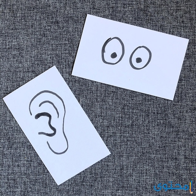 الفرق بين الصوت والحرف والرمز والجرس